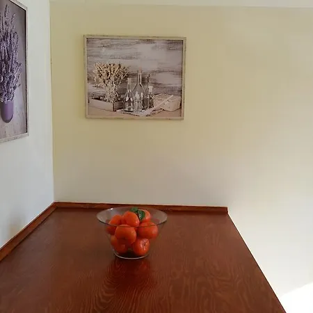 Appartement Bohdalec *