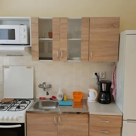 Bohdalec Apartment *
