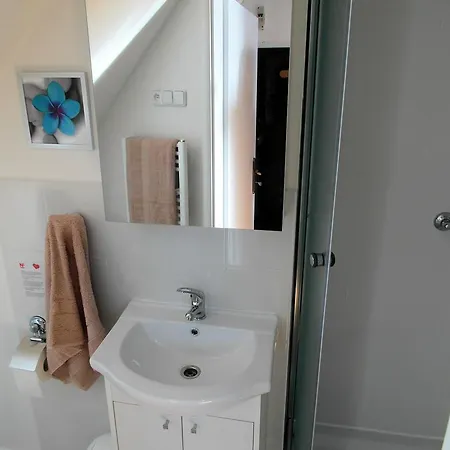 Bohdalec Apartment *